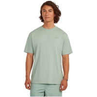 Mens Small Logo T-Shirt